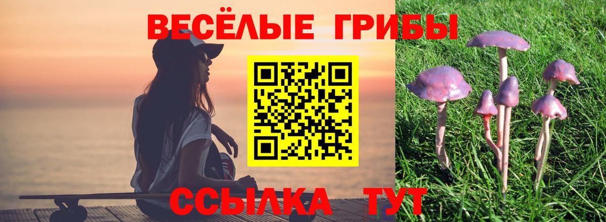 Галлюциногенные грибы Magic Shrooms Тында